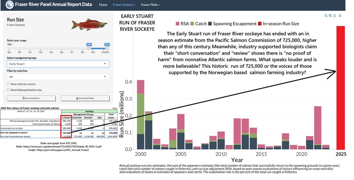 ProtectOurShore (@protectourshore) on Twitter photo Salmon farming in BC: Industry scientists claim there is "no proof of harm" from nonnative Atlantic salmon farms. Meanwhile, the largest run of endangered Early Stuart sockeye in this century tells another story.
#salmon #bcpoli @ubcoceans @cbcnews @ubcic <a href="/DavidSuzukiFDN/">David Suzuki FDN</a> Salmon farming in BC: Industry scientists claim there is "no proof of harm" from nonnative Atlantic salmon farms. Meanwhile, the largest run of endangered Early Stuart sockeye in this century tells another story.
#salmon #bcpoli @ubcoceans @cbcnews @ubcic <a href="/DavidSuzukiFDN/">David Suzuki FDN</a>