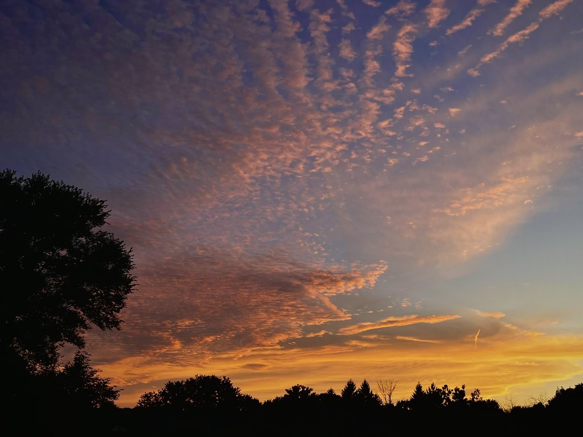 CamHopmanWx's tweet image. Did anyone else catch tonight’s gorgeous sunset? This was the view on Madison’s east side. #wiwx