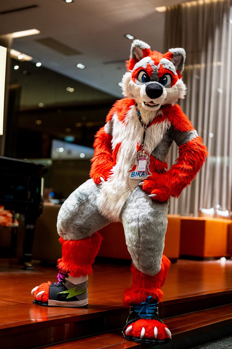 Saw you looking! Why not just come over for a hug 😏

Amazing 📸 by <a href="/loynuwu/">Loyn</a> 
So delighted to have met him again 🥰
#FursuitFriday #UTFG2025