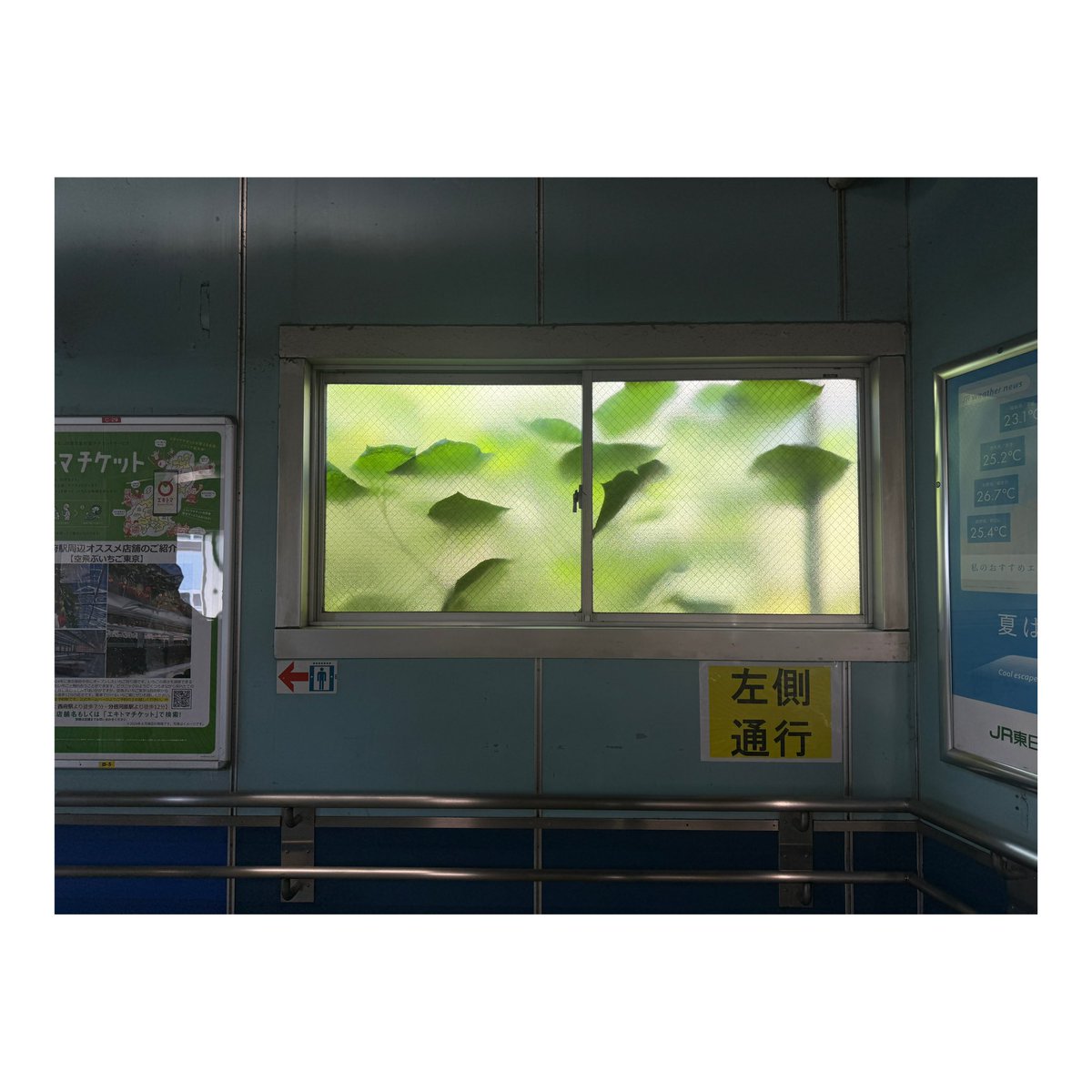 mio7007's tweet image. 