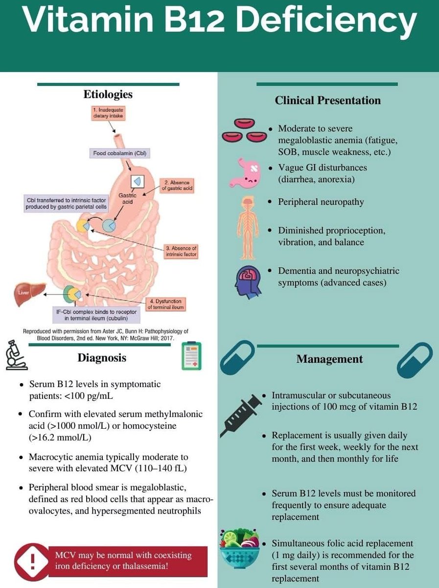 Vitamin B12 deficiency
