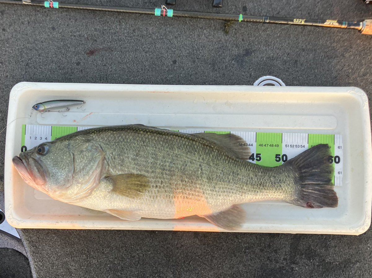 缶 (@can2low) / Posts / X