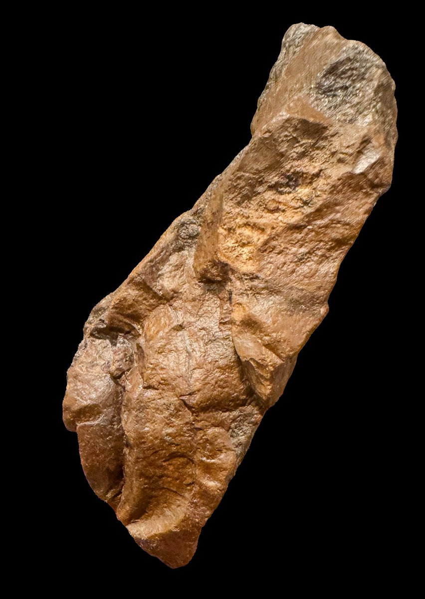 red_relics's tweet image. More quartz cutting tools and a hematite effigy from SE Pennsylvania. Lenape or their predecessors.