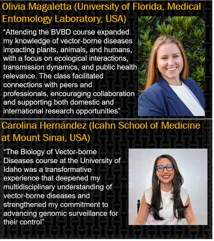ui_IHHE's tweet photo. Thanks to BVBD 2025 participants, your testimonies are greatly appreciated. Part 1.  #BVBDcommunity
@ui_IHHE @Kecwdo @uidaho https://t.co/mjliRG2Bx1