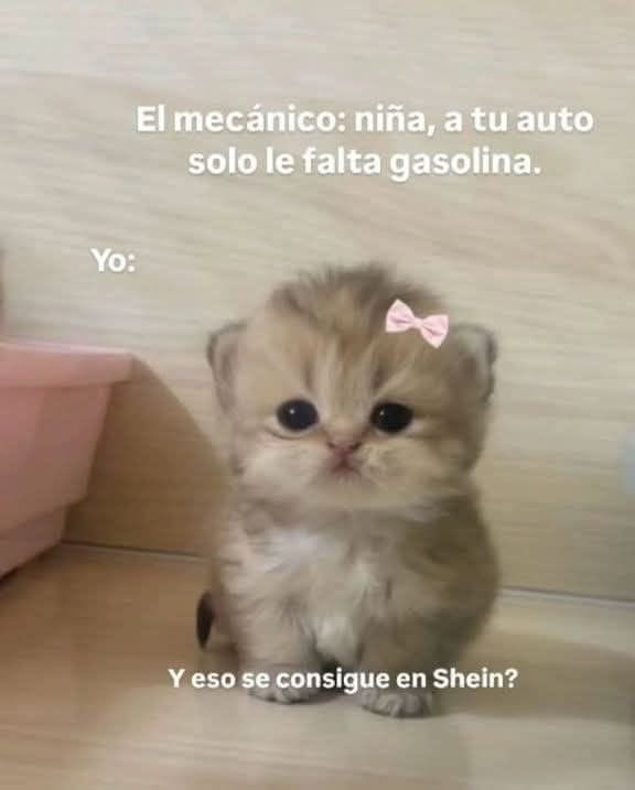 FatimaAlanismx's tweet image. Ok lo confieso. Alguna vez fui así. Pero no era shein.