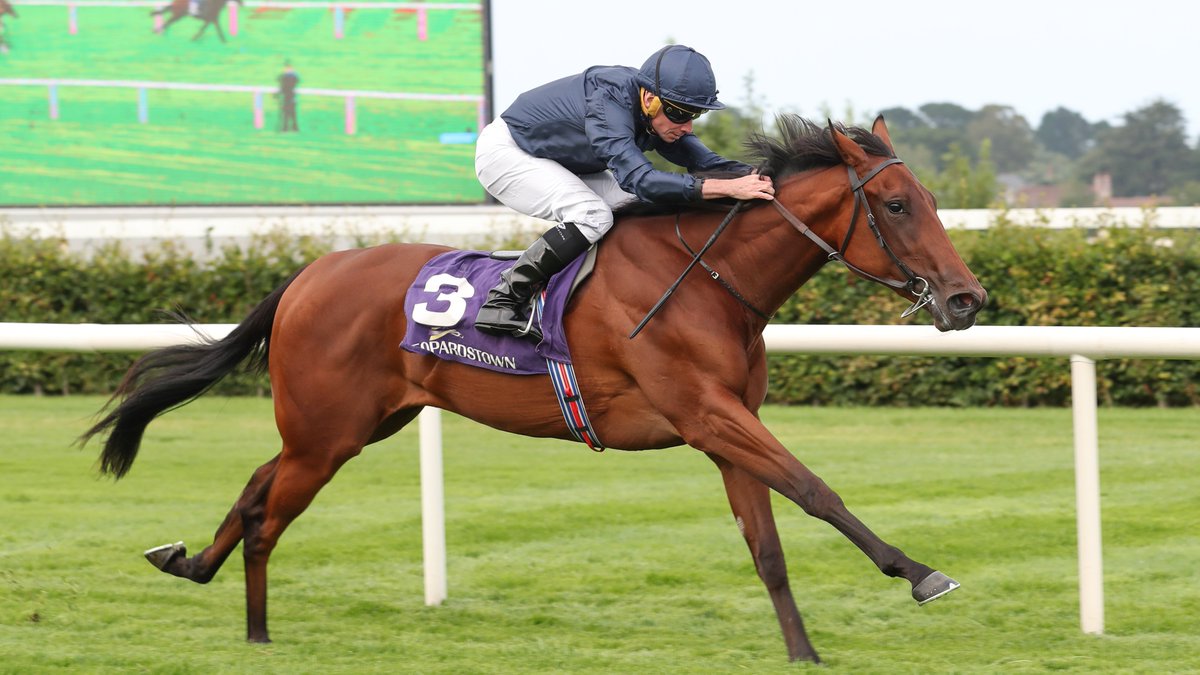 IREthoroughbred's tweet image. COMPOSING (IRE) stretches to smooth success in G3 @TheSaudiCup Silver Flash Stakes @LeopardstownRC for @Ballydoyle under Ryan Moore; sired by the hugely prolific Wootton Bassett @coolmorestud & sold @Goffs1866 Orby from Ridge Manor Stud in Co Kildare ๐ฎ๐ช๐๐ฏ