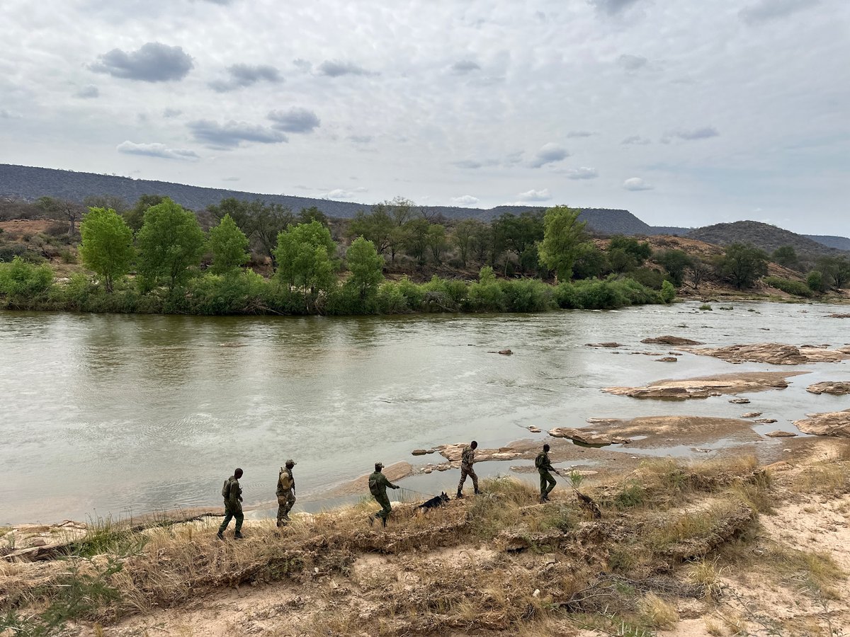 As conditions become drier, our SWT/KWS Anti-Poaching have tackled a slight lift in illegal activities. In May, the teams covered 37,709 kilometres, removing 778 snares that could otherwise have claimed the lives of elephants, giraffes, zebras and countless other species.

With