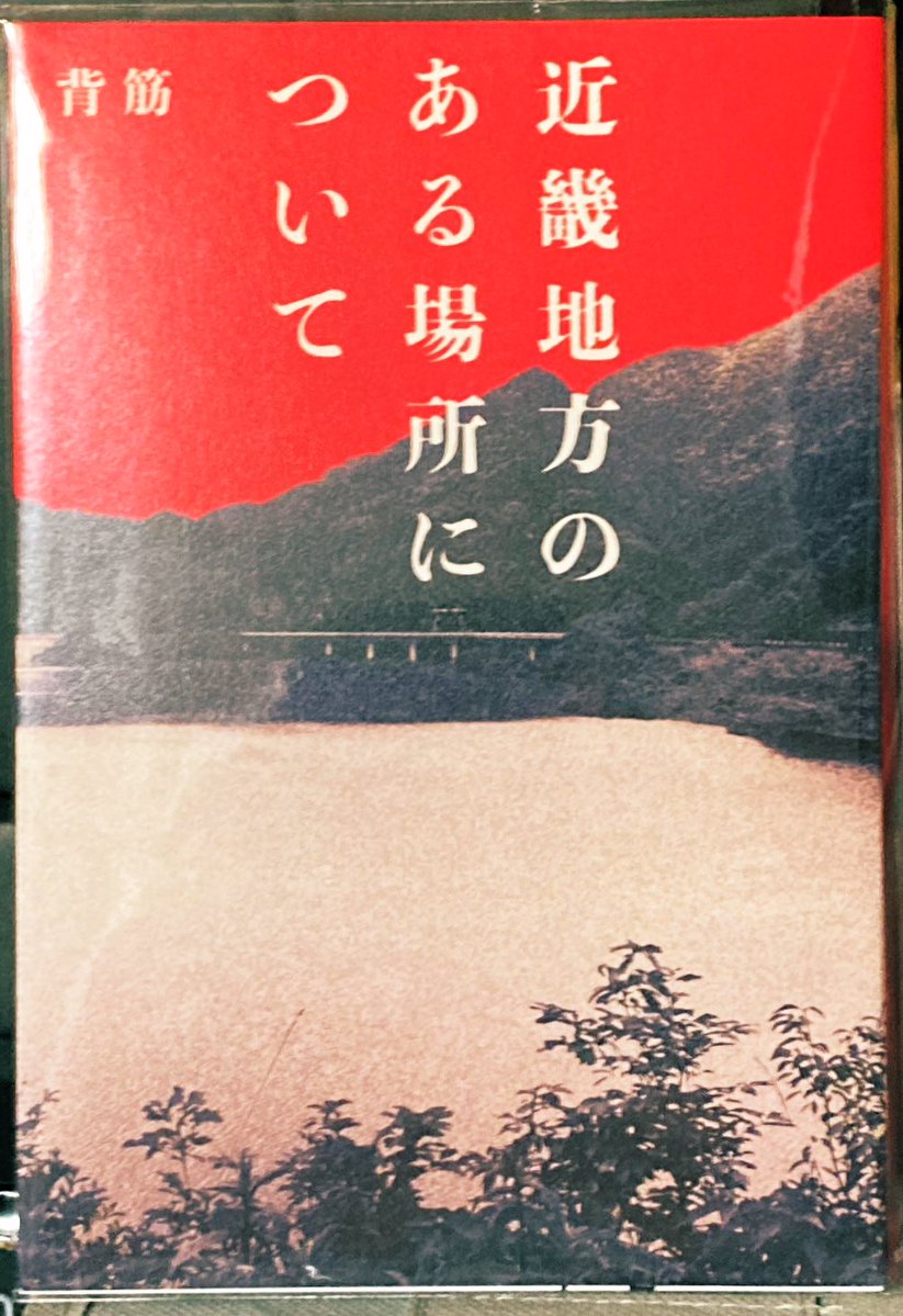 mayorer's tweet image. 近畿地方のある場所について/背筋
#読了
文庫版は内容が違うみたいなので再読!
個人的に怖さはもちろんですが、面白さの方がより勝ってたと感じました!
なのでホラー初心者の方などにお勧めしたいと思いました!