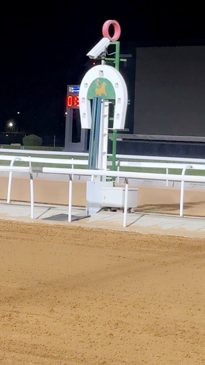 منصــور بن رزيـــق tweet media