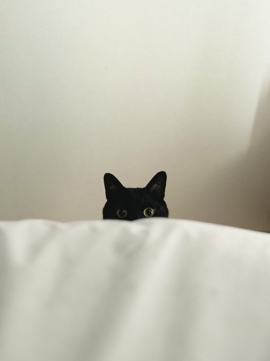 nkknrk's tweet image. 起こしに来た

ｱｻﾀﾞﾖ!