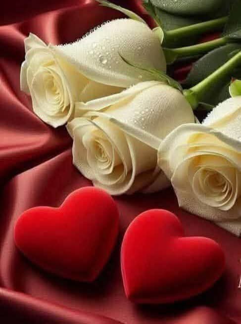 <a href="/MarkBird17/">Freebird</a> 
<a href="/lobosolitario1/">Angel Cabrera Music</a> 
<a href="/maralinda67/">Mara</a> 
<a href="/20025Ali/">*Yunus ali* *यूनुस अली* *یونس علی*</a> 
<a href="/Sonia40933646/">Sonia💐🌻</a> 
<a href="/p4pEZXguGDpSbpw/">ぬーさん 🐶😺🐾公式</a> 
<a href="/TheRamon14/">RAMÓN</a> 
<a href="/Journeyingdave/">Dave Nordella</a> 
<a href="/FamiliaMillo/">FamiliaMillo ❤⚪❤</a> 
<a href="/KenFry10/">Ken Fry</a> 
<a href="/lgcomin/">Luigi Sass Comin</a> 
<a href="/carlitosCARP142/">Carlitos 🇦🇷</a> 
<a href="/ZZsheyn/">ZZsheyn</a> 
<a href="/RAMNJP1/">RAMÓN</a> 
<a href="/colordeltiempo/">Maria Inés de la Santa Cruz Páez Capriles</a> 
<a href="/Carlin97910288/">Carlin</a> 
<a href="/Franc_grau/">💯🤍 Frank 75 K 🤍💯</a> 
<a href="/DiosasdeR/">DiosasdeRiver2 🔴⚪🔴</a>
<a href="/america4455/">SOL ETERNO 🌞</a>