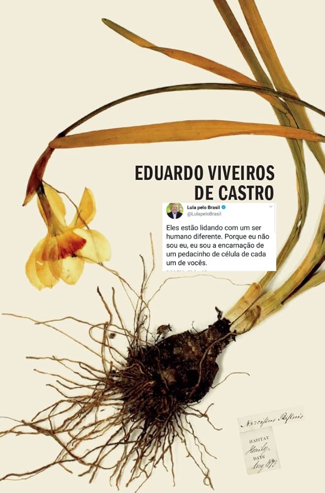Vit201's tweet image. o que será que o Viveiros de Castro acha da entrevista do Krenak pro podcast do NUBANK?!