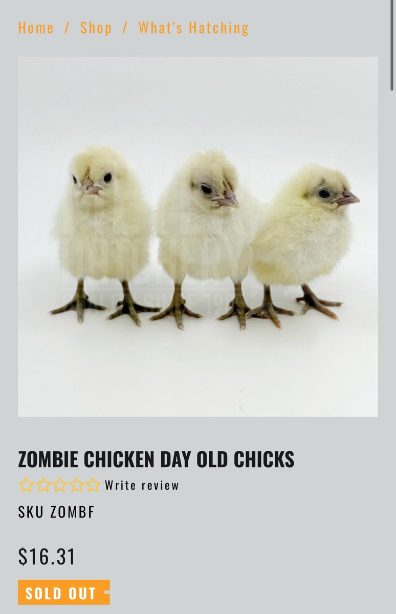 generousfarm's tweet image. They have chickens called Zombie chickens!? π