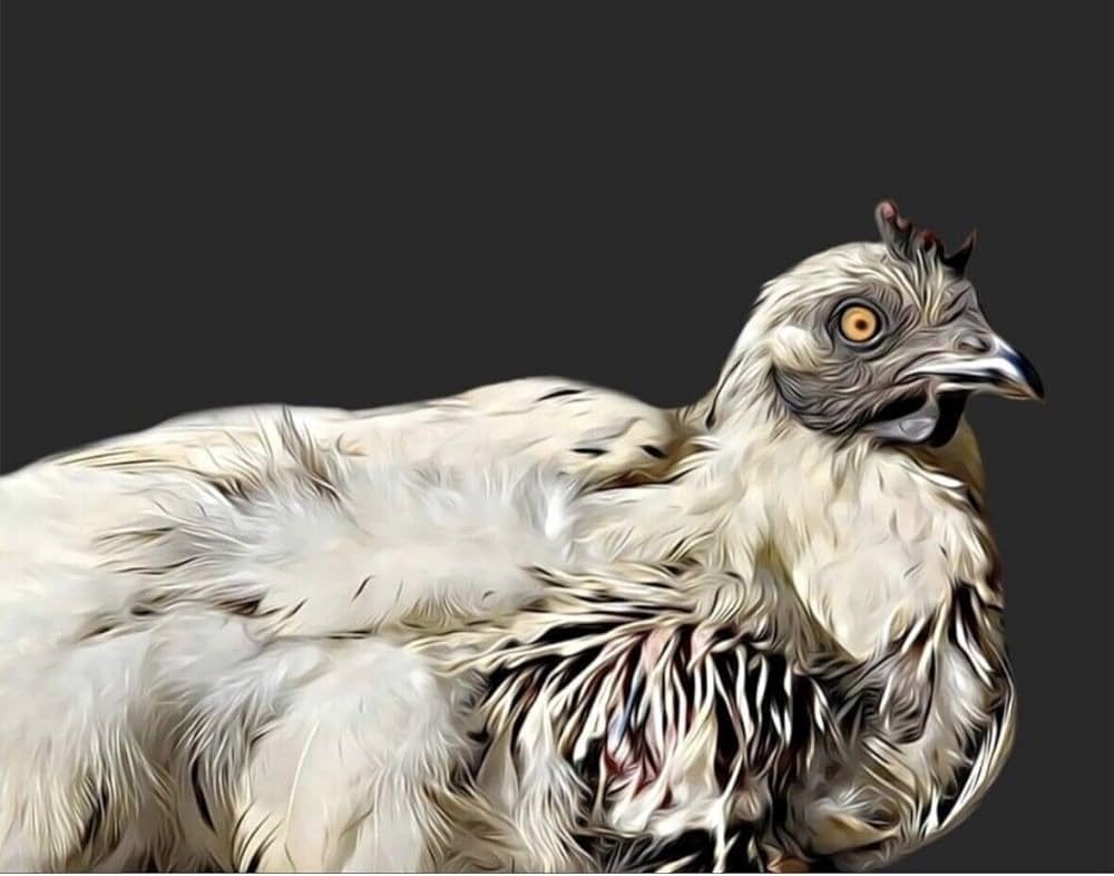 generousfarm's tweet image. They have chickens called Zombie chickens!? π