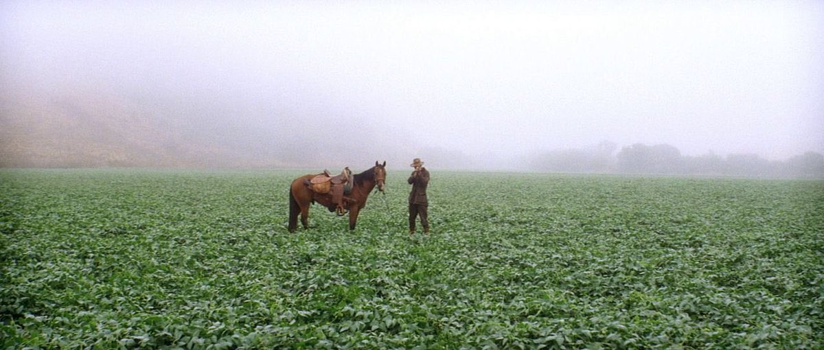 s4bzzzz's tweet image. There Will Be Blood (2007) dir. Paul Thomas Anderson
God this is masterful stuff right here. PTA is a visionary director and when paired with talents like Daniel Day-Lewis and Paul Dano, you get a film like this. Unbelievable, man.