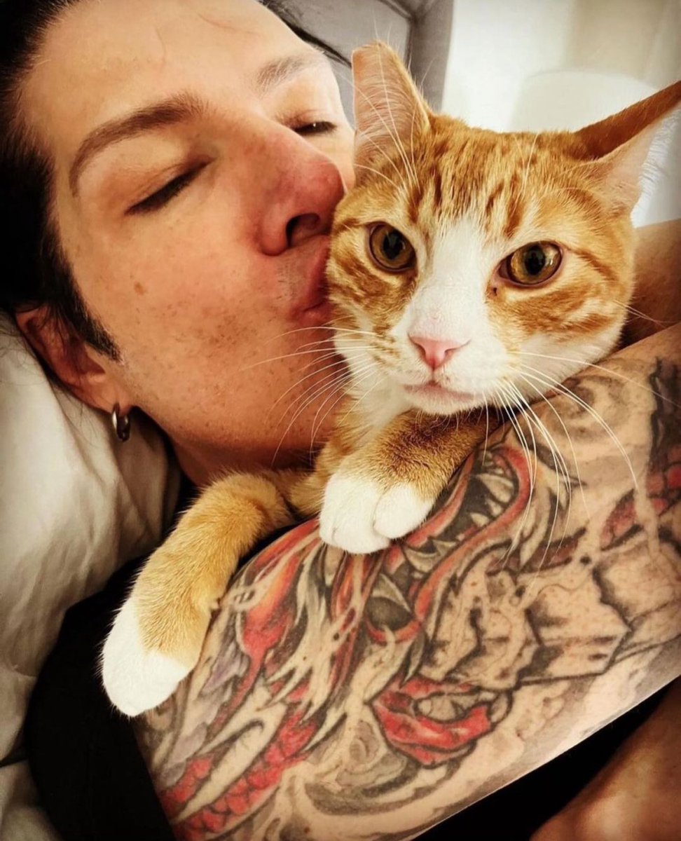SoCal_MusicFan's tweet image. Happy Birthday to Todd’s cat StrawBarry today! ❤️🐾🐾🎉🎊