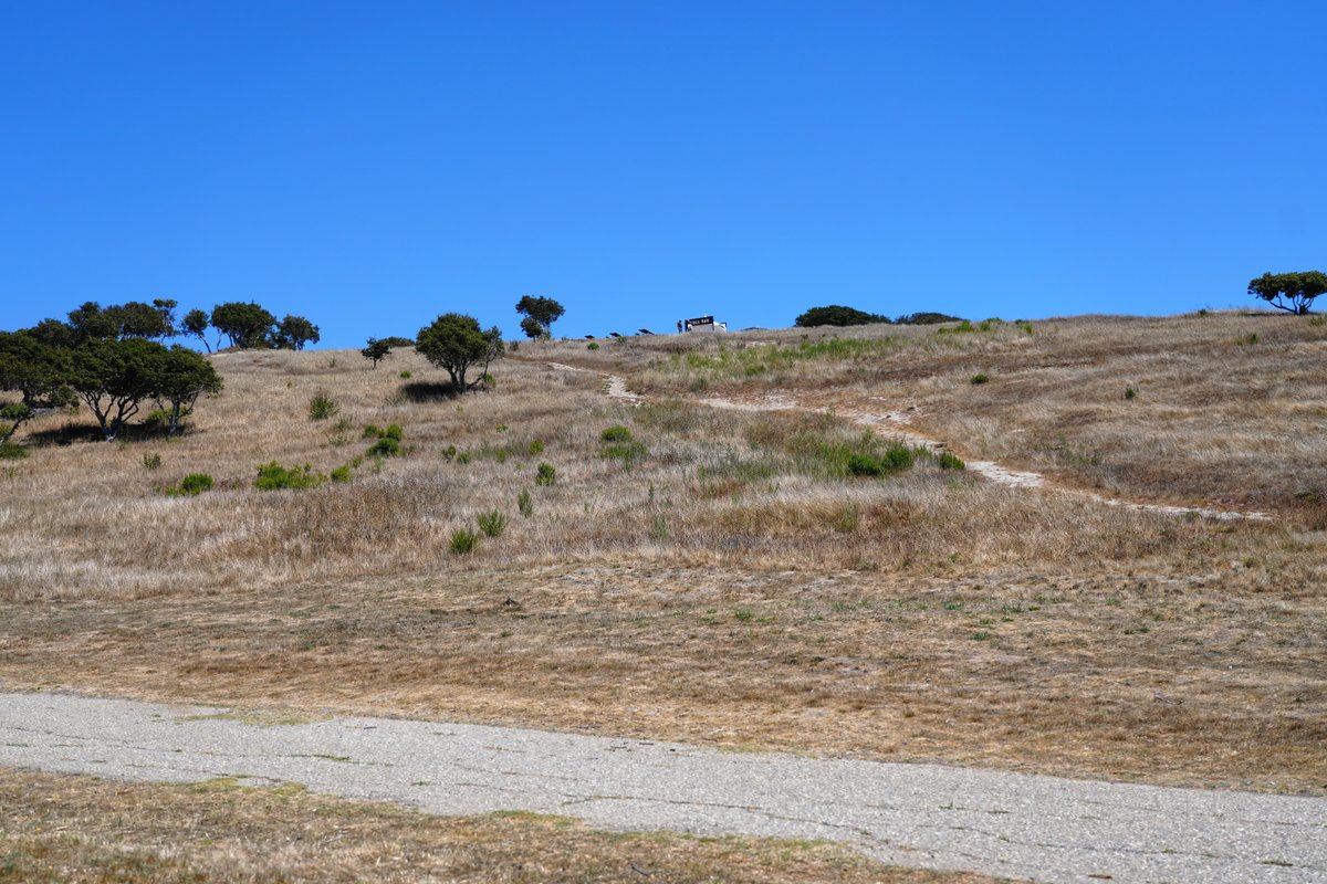 KevinDMotors's tweet image. I did not realize that the Hollywood-style Corkscrew sign was recently taken down at Laguna Seca.
The hillside near Turn 10 looks awfully bare...
#IndyCar #JavaHouseGP