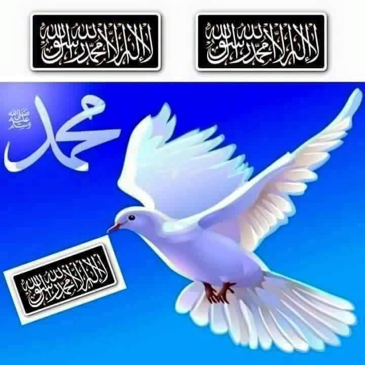 Mahmoud__3laa's tweet image. الســـلام عليكم ورحمة الله وبركاتــه🤝
عطروا صباحكم بالصلاة علﮯ رسول اللـــّـــه  
 نبينـــا وحبيبنا۞محـﷺـمد۞
صـــلوا ؏ الحبيب الهادي                                                                    
رزقنا اللـه وإياكم شفاعة النبي {ﷺ}  ومرافقته في الجنة🤲