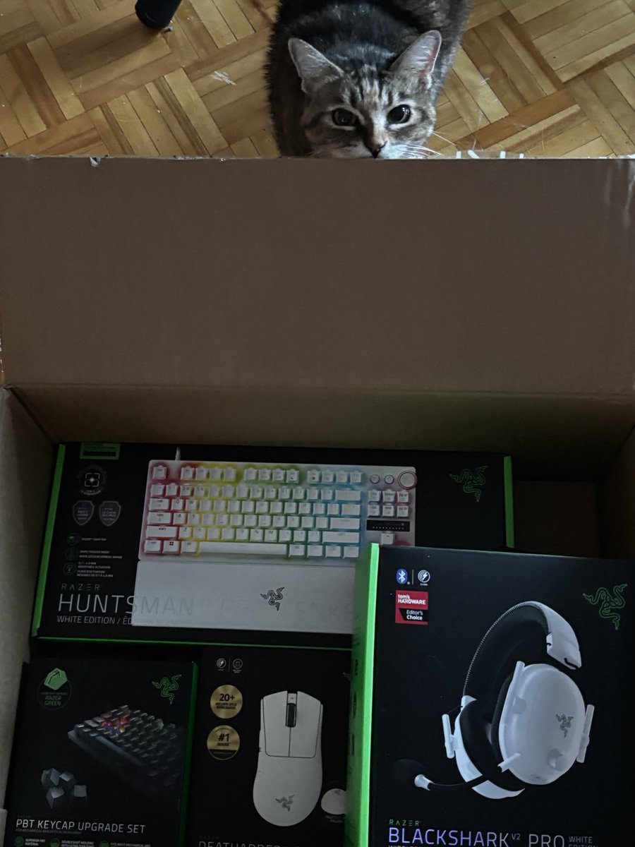 Thank you so much to <a href="/TeamRazer/">Team RΛZΞR</a> <a href="/Razer/">R Λ Z Ξ R</a> for sending out the Deathadder V4 and other Razer products for me to try out the V4 feels INSANE 💚