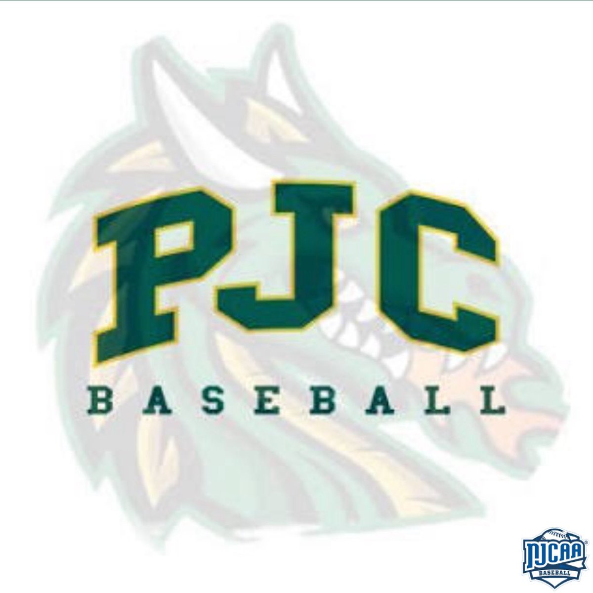 AustinLade2026's tweet image. l am excited to announce I have officially committed to @PJCBaseball to further my academic and baseball career. I would like to thank God, my family, coaches, and teammates for helping me accomplish this goal. Thank you @CoachCox19 and @Boonep19 for this amazing opportunity!🐉