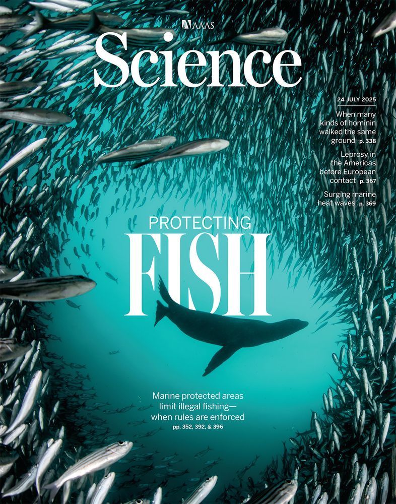 JenniferRaynor_'s tweet image. Why do some say marine protected areas are just “paper parks”? And are industrial fishers actually staying out of these no-fishing zones?

New in @ScienceMagazine: We used AI + satellite radar to find out. doi.org/10.1126/scienc…

#ScienceResearch #OceanTransparency #Fisheries