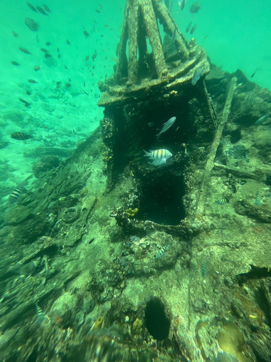 DAOSPEDept's tweet image. Some of the amazing photos from today’s cruise! One of our students smashed it with some underwater snaps! 📸