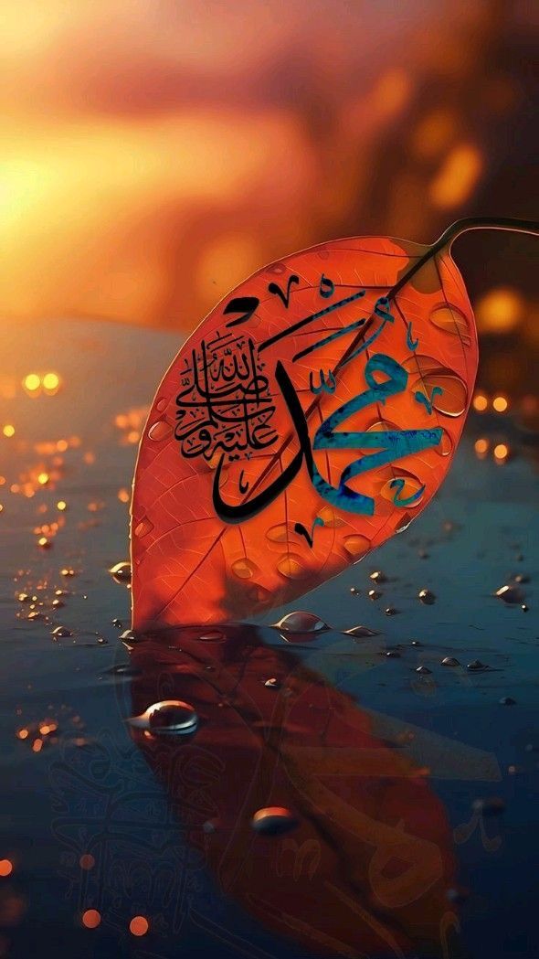 .. 
أكثروا_من_الصلاة_عليه_ﷺ
ليلة_الجمعة ويومها 
إستجابة لقوله #ﷺ 
إنَّ مِنْ أفضلِ أيَّامِكم يومَ الجمعَةِ
فأكْثِروا علَيَّ منَ الصلاةِ فيهِ
فإنَّ صلاتَكم معروضةٌ علَيَّ 

#اللهم_صل_وسلم_على_نبينا_םבםבﷺ 
#ليلة_الجمعة 
#愛のがっこう 
#غزه_تموت_جوعا 
#انقذوا_غزه_