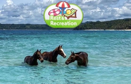 horsetwting's tweet photo. https://t.co/QDm7IXNlkw