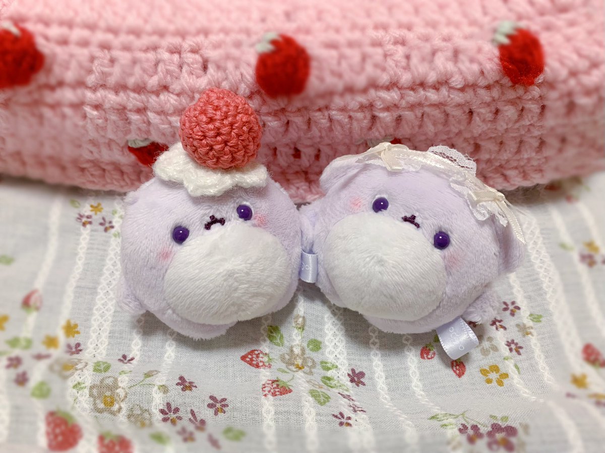 walletchan's tweet image. 朝おきたらケーキになっていた🍰🍓

 #ゥ星人  #移住ゥ先