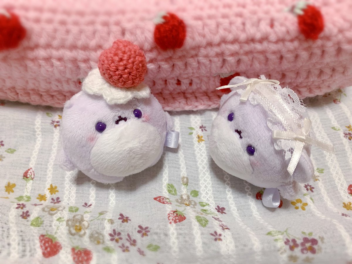 walletchan's tweet image. 朝おきたらケーキになっていた🍰🍓

 #ゥ星人  #移住ゥ先