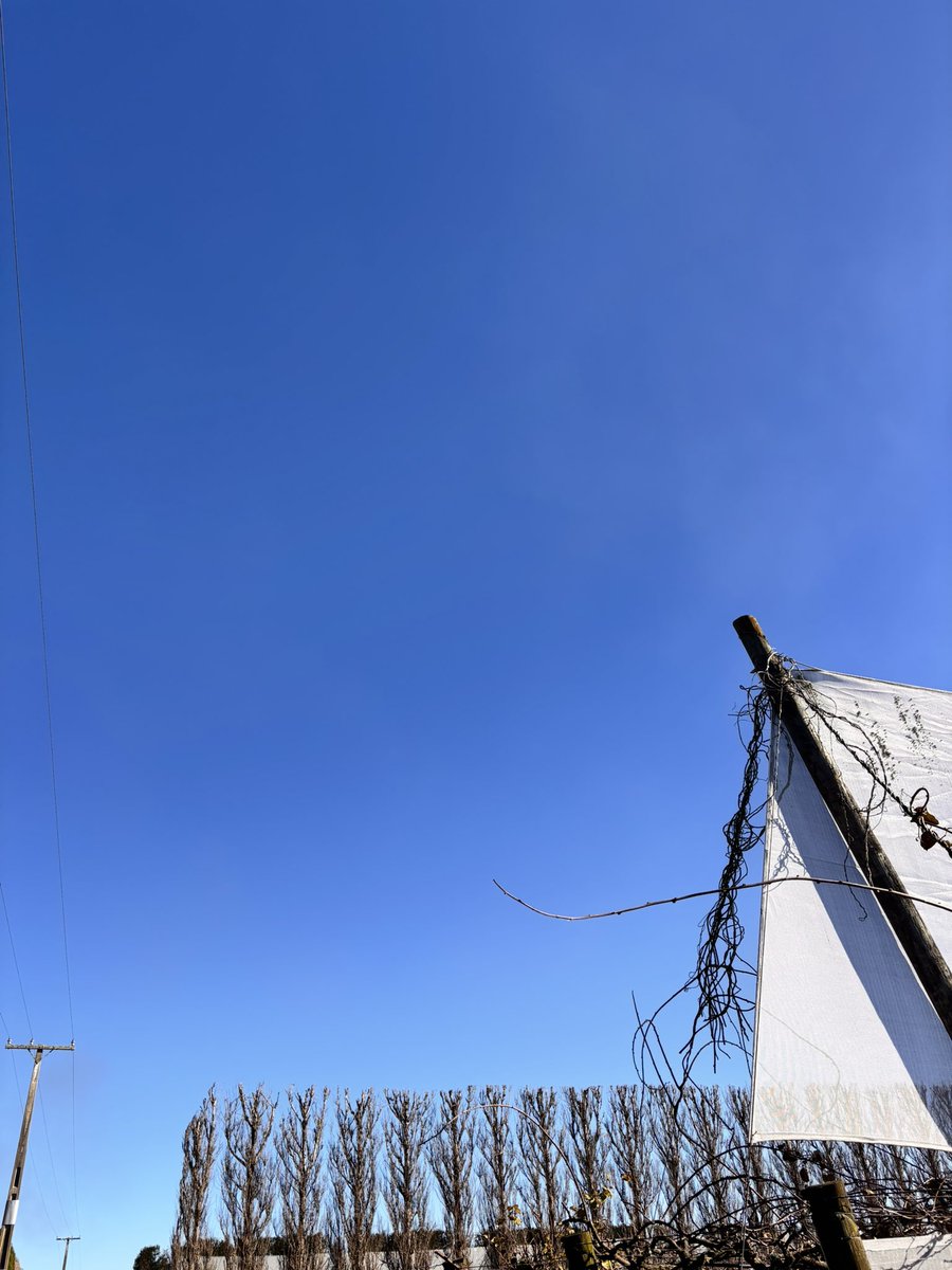 Tsubame_0325's tweet image. ニュージーランドの空って、めっちゃ青い。
多分、国によって空の色って違う。