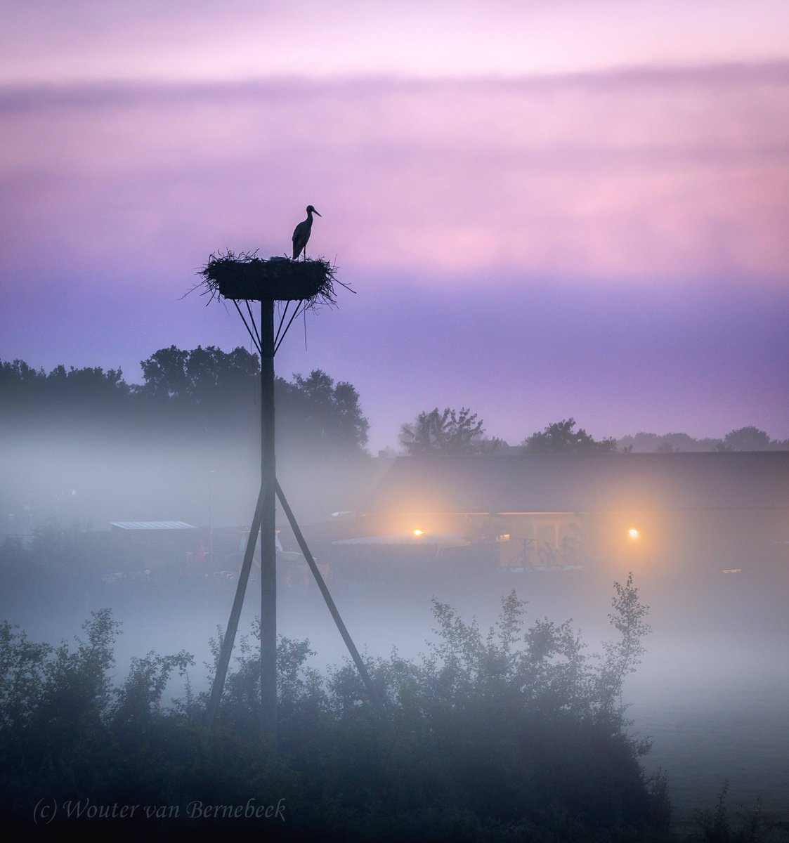 StormchaserNL's tweet image. 🌫 De afgelopen dagen was het rustig weer met een paar prachtige zonsopkomsten. Verschillende laagjes grondmist zorgden gisteren voor een magische sfeer: deze ooievaar op nest stak mooi boven de mist uit en dacht er ook het zijne van!