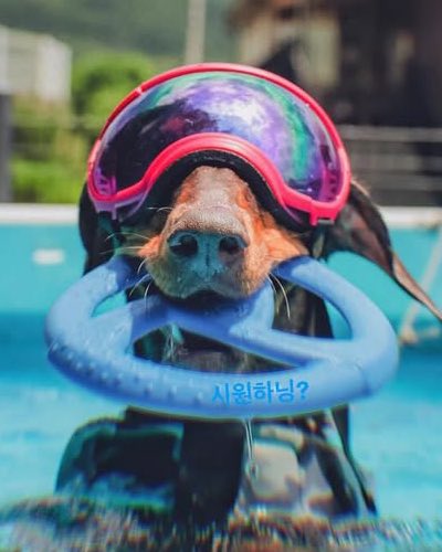 バミに対する「🐰すずしいん？」ってメッセージをこっそり載せる愛しいバミアッパㅠㅠㅠㅠㅠㅠㅠ