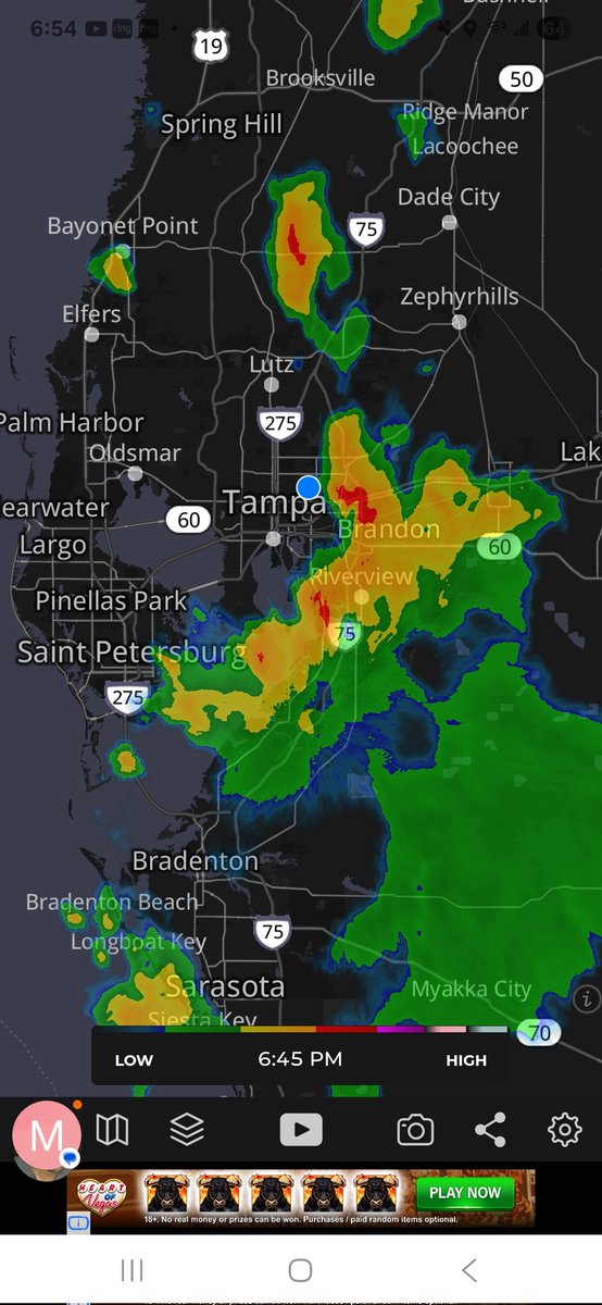 TherealDaneal's tweet image. Sometimes these afternoon thunderstorms are crazy. It&apos;s raining buckets and this wind is wild. #thunderstorms #Florida #weather