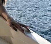 StanleyRoberts's tweet image. The latest scammer tactic is sending a DM on @X. It’s important that you pay attention to the details. This person is clearly #AI generated. If you don’t believe me, look at the fingers. AI has a problem generating human fingers.