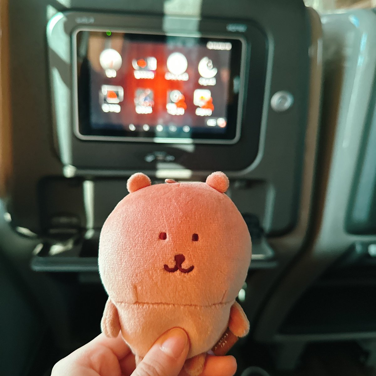 tsukkomi_bear's tweet image. 출발〰️