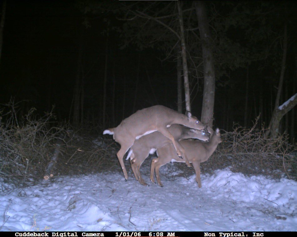 ConkyCorp tweet media