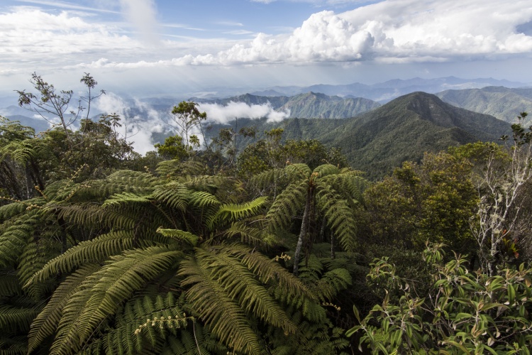 GeographicalMag's tweet image. 🌴🇨🇺 Think you know Cuba’s landscapes, coasts and mountains? Test yourself in our quick quiz! 👉 geographical.co.uk/quizzes/quiz-c…
#Cuba #GeographyQuiz #TravelTrivia #Geographical 🌊🗺️