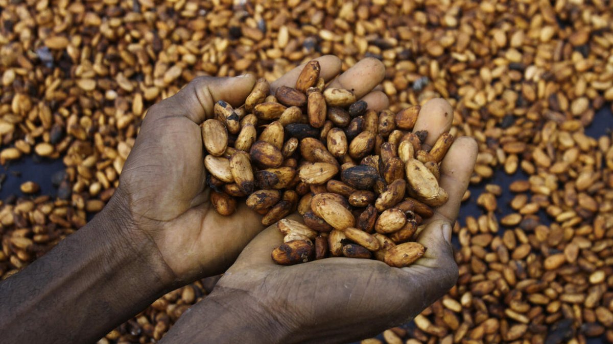RFI_eco's tweet image. Face au changement climatique, les prix de l'alimentation s'envolent dans le monde rfi.my/Bs2s.x