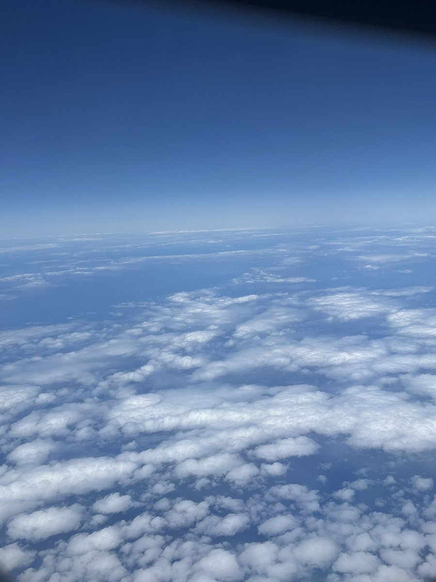 dogdevoted's tweet image. for the record i am 500 miles into the ocean