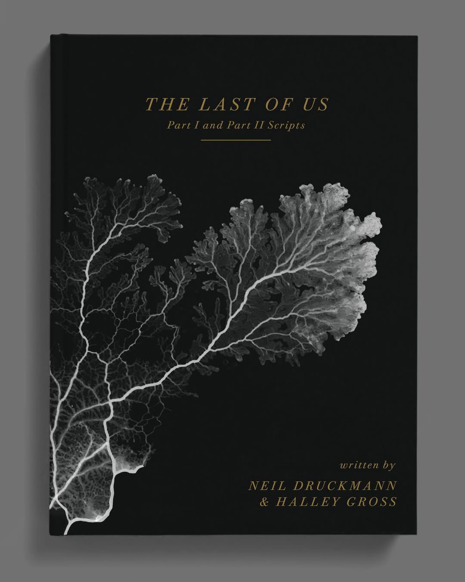 THE LAST OF US Database tweet media