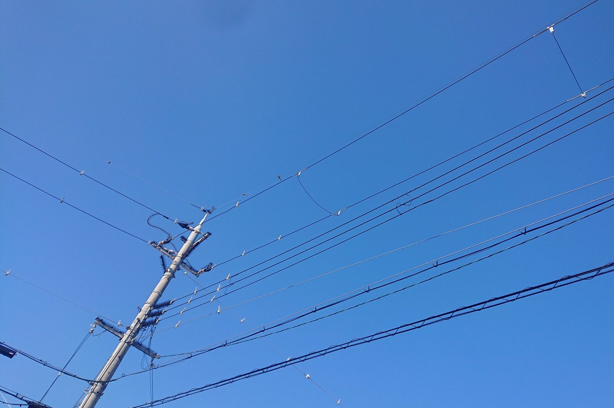 Kimi10Syou22's tweet image. おはようございます
今日は❝かき氷の日❞🍧
かき氷は以前、夏氷と呼ばれていたことから【な(7)つ(2)ご(5)おり】の語呂合わせと【最高気温記念日】でもあることから日本かき氷協会が制定したそうです🧊
そう言えば今年はまだかき氷食べてないなぁ…🤔
#いまそら