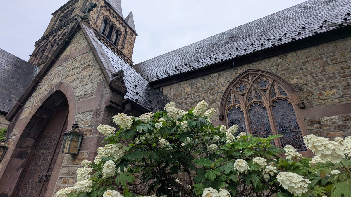 LibertyMomm's tweet image. Gorgeous Gothic in America