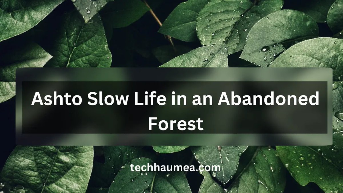 Adbassador's tweet image. Guest Post – TechHaumea.com dlvr.it/TM5sCD #GuestPost #Backlinking #SEO #TechContent #DigitalMarketing