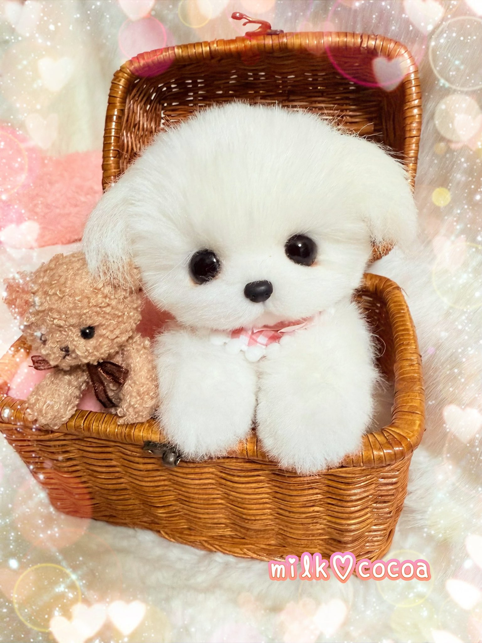 生後20日♡子猫のミルクちゃん♡ベビー♡アートドール♡ぬいぐるみ♡ 生後20日♡子猫のミルクちゃん♡ベビー♡アートドール♡ぬいぐるみ♡