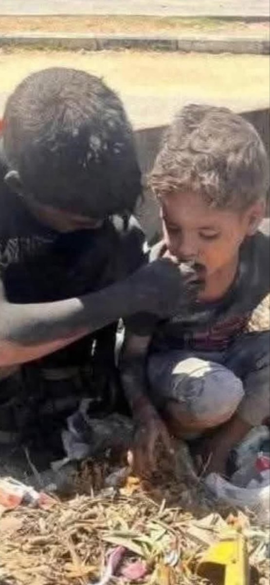 TRUST1552171's tweet photo. We appreciate recognition.. but Gaza lies in ruins!
- 70% homes destroyed
- 40 hospitals non-functional
Urgent demands:
1. FULL siege lift
2. Immediate reconstruction
3. War crimes trials
#GazaCalls
< Helena Hulk Hogan Shakira #illner $UGO $SOL Starlink" https://t.co/H7O6PZHkSA