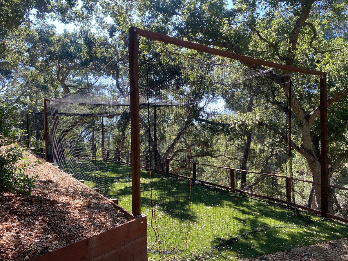 HittingWorld's tweet image. Check out this neat custom backyard batting cage setup: hittingworld.com/blogs/hittingw…