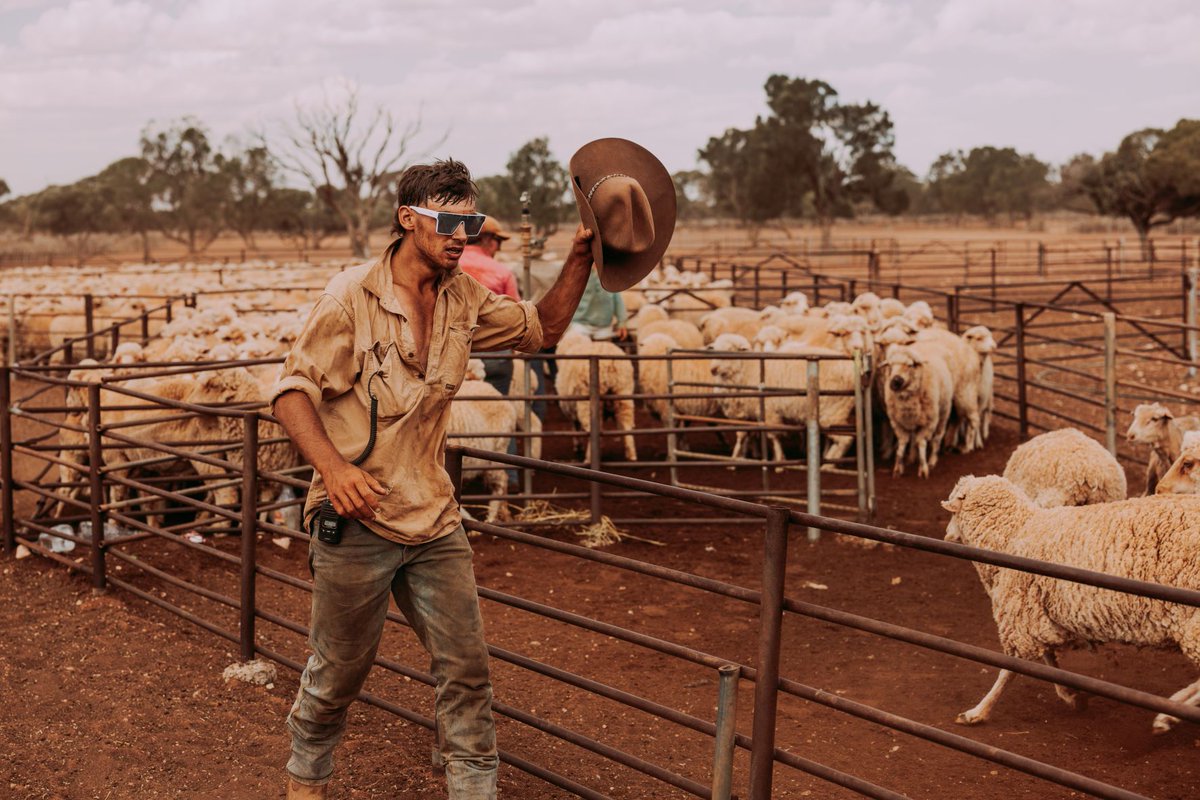 rftte's tweet image. Playing for Sheep Stations... Wool was once Australia’s biggest export - remember the saying, “Australia rode on the sheep’s back.” In fact, sheep quickly became more dominant than cattle in the early days of settlement, read on: bit.ly/RFTTEJOBS_Sheep
#rfttejobs #australia
