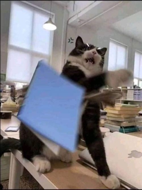 celestixlc's tweet image. I need more soundmap moots