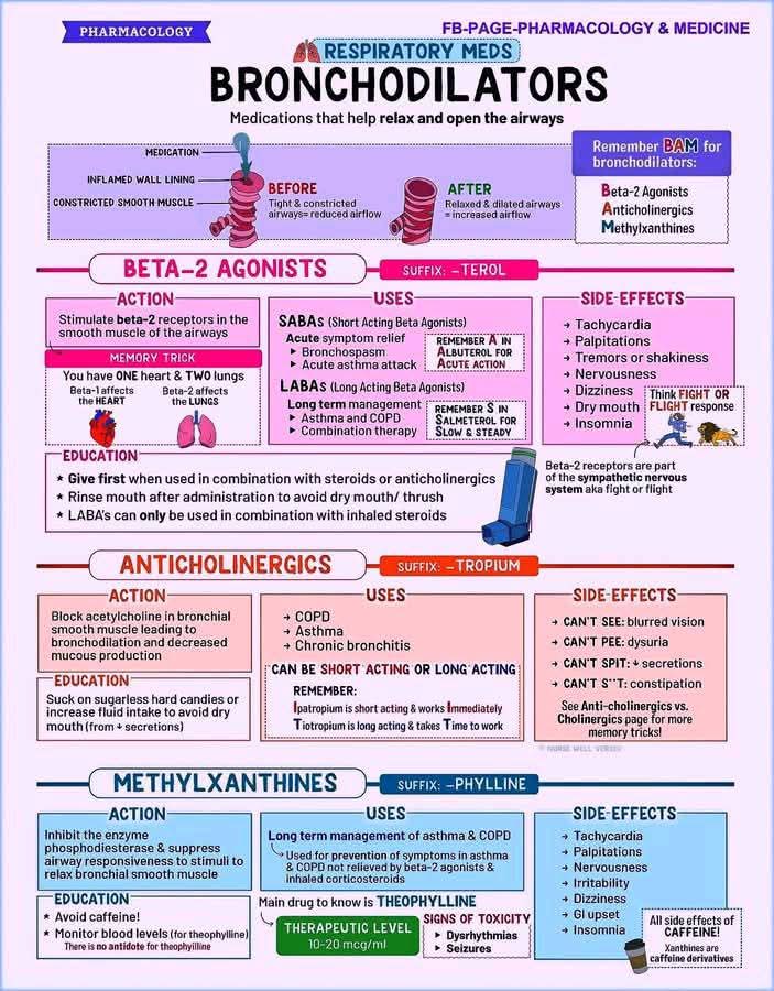Propharm7's tweet image. ๐ก Bronchodilators